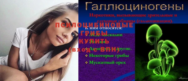 ГАЛЛЮЦИНОГЕННЫЕ ГРИБЫ Иннополис