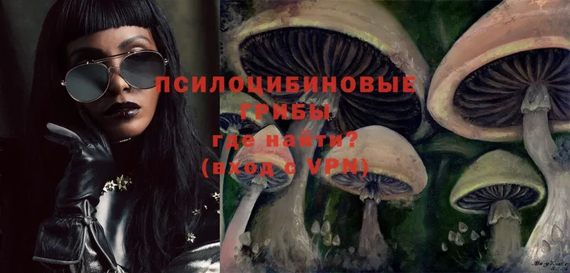 Галлюциногенные грибы Psilocybe  мега рабочий сайт  Киржач 